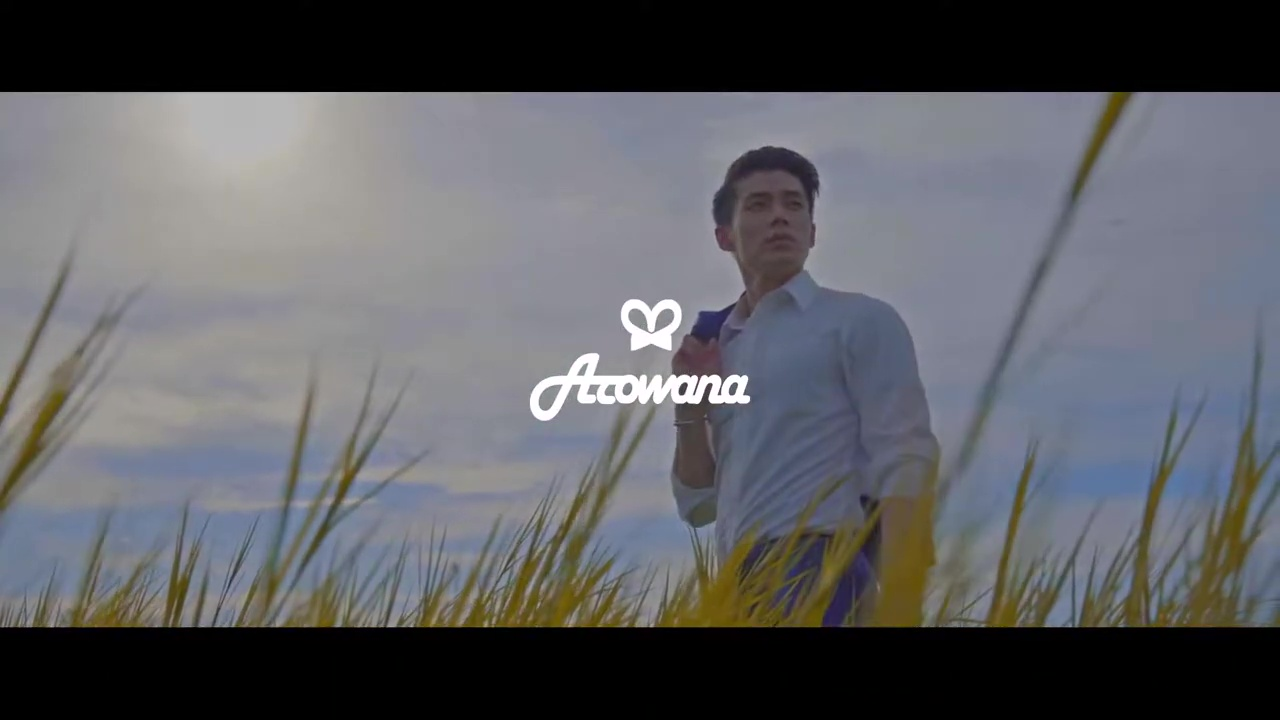 AROWANA 2019 夏季